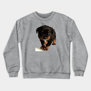 Cute Rottweiler Puppy Lapping Milk Crewneck Sweatshirt